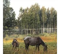 Pianos Become The Teeth - Old Pride (Coloured Vinyl)