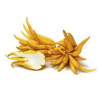 PIANTA ALBERO cedro LIMONE MANO DI BUDDHA VASO20 agrumi di sicilia h60/80cm FOTO