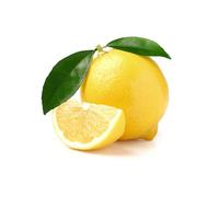 PIANTA Albero di LIMONE DOLCE MEYER agrumi di sicilia h 60/80 cm FOTO REALE