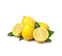 PIANTA albero LIMONE LUNARIO 4 STAGIONI VASO20CM agrumi sicilia h80cm FOTO REALE AMDGarden