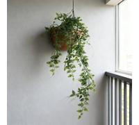 Pianta artificiale da appendere, 85 cm, struttura in plastica, adatta per uso interno ed esterno, per creare accenti verdi in qualsiasi ambiente