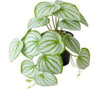 Pianta artificiale da appendere, bonsai con struttura realistica delle foglie e struttura in plastica, per scrivania interna o decorazione da appendere in casa e ufficio (G)