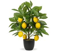 Pianta artificiale decorativa di limone, 40 cm, in plastica, in vaso | Piante artificiali come vere piante da interni, con ramo di limone e frutti di limone, per la decorazione della casa