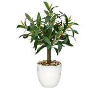 Pianta artificiale decorativa di ulivo, 37 cm, pianta in plastica in vaso, piccole piante artificiali come vere, con rami d'ulivo e frutta per la decorazione della casa, soggiorno, ufficio