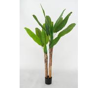 Pianta Artificiale di Banano con Corteccia Naturale, Foglie in PVC, Varie Misure, per Interni Residenziali e Commerciali (Chiquita 150 cm - 2 tronchi)