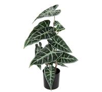 Pianta artificiale di calathea, pianta artificiale, fiori di seta, piante artificiali, pianta ornamentale, pianta verde, zebrina, alocasia, sanderiana, orecchie di elefante Sanderiana Fiorella