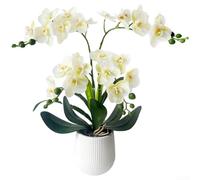 Pianta artificiale di orchidea con 24 teste realistiche, in vaso bianco, decorazione per casa e ufficio, 45,7 x 43,2 cm, viola, giallo, rosso, rosa (bianco verde)