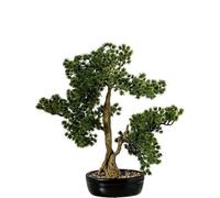 Pianta artificiale di un bonsai di cipresso in PE e PVC con vaso in verde e marrone, 48 x 26 x 48 cm