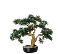Pianta artificiale di un bonsai di cipresso in PE e PVC con vaso in verde e marrone, 52 x 30 x 48 cm