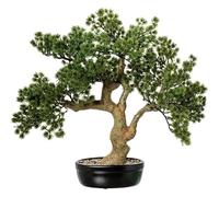 Pianta artificiale di un bonsai di cipresso in PE e PVC con vaso in verde e marrone, 54 x 38 x 50 cm