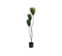 Pianta Artificiale EUROPALMS Papiro 100 cm - Decorazione da Interni ed Esterni i
