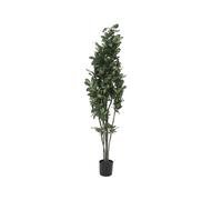 Pianta Artificiale EUROPALMS Schefflera 120cm - Decorazione Tropicale Realistica