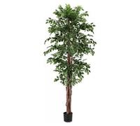 Pianta artificiale Ficus c-vaso 2480foglie (210cm) 0172847