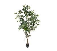 Pianta Artificiale Ficus con Vaso H 183 cm