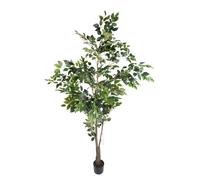 Pianta Artificiale Ficus con Vaso H 213 cm