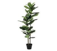 Pianta artificiale Ficus lyrata c-vaso 39foglie (145cm) 0172844