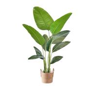 Pianta artificiale grande 160 cm uccello del paradiso artificiale piante in vaso Fake Plants Artificial Plants Artificial Palma artificiale Pianta d'appartamento come vera per interni ed esterni