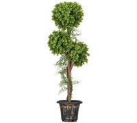 HOMCOM Pianta artificiale 3 palle di bosso con vaso in cemento, per interni ed esterni, altezza 115 cm