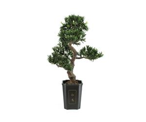Pianta Artificiale Podocarpus Bonsai EUROPALMS 80 cm, Eleganza e Realismo per In