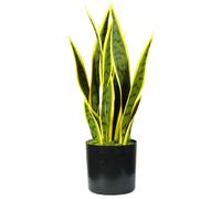 Pianta Artificiale Sansevieria H45 cm con Vaso Verde