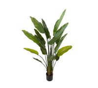 Pianta Artificiale Sterlizia con Vaso Composta da 20 Diramazioni Real Touch H 180 cm