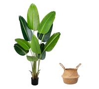 Pianta Artificiale Uccello del Paradiso 160 cm, Palma Tropicale Artificiale con 10 Foglie, Piante Artificiali in Vaso per Decorazione Interni Esterni, Soggiorno, Ufficio, Giardino, Regalo