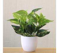 Pianta bonsai artificiale, in vaso in stile pastorale retrò, fogliame realistico per ufficio, scrivania, davanzale o libreria, altezza 22 cm, plastica (G)