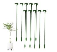 Pianta d'appartamento Bastoni Di Supporto Riutilizzabile, Barra | 10 x Supporto per orchidee da giardino per giardinaggio all'aperto orto orchidea rosa pomodoro giglio Phalaenopsis Bonsai