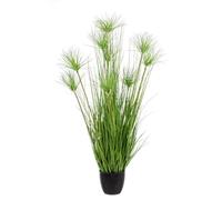 Pianta Deserto Verde C-Vaso X9F H120