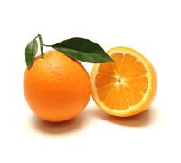 pianta di Arancio Navelina in fitocella Età 2 anni Altezza REALE 150cm