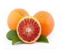 Pianta di ARANCIO TAROCCO SANGUINELLO Arancia Rossa di SICILIA in vaso 18 cm