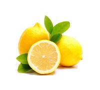 Pianta di Limone Zagara bianca in fitocella