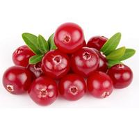 PIANTA DI MIRTILLO ROSSO AMERICANO -CRANBERRY - vaso 12x12