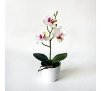 Pianta di orchidea finta, alta 26 cm, in gomma morbida, design realistico | Petali di phalaenopsis realistici, steli realistici, eleganti tonalità bianco, arancione, blu, viola, altezza 26 cm