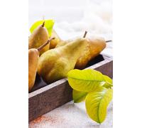 Pianta di Pero Albero vero da Frutta Pera Varietà mix età 2 anni innestata