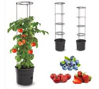 Pianta di pomodoro Coltivatore di pomodori Vaso per pomodori 2 dimensioni