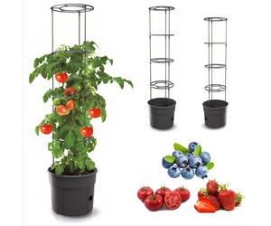 Pianta di pomodoro Coltivatore di pomodori Vaso per pomodori 2 dimensioni