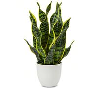 Pianta di serpente artificiale in vaso, piante finte di Sansevieria trifasciata, piante tropicali di serpente finte in vasi bianchi per decorazione della casa, ufficio e interno, regali di inaugurazio