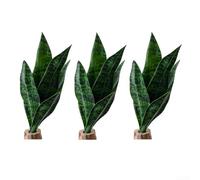 Pianta di serpente dall'aspetto realistico per creare atmosfere invitanti a casa, ingressi e spazi comuni (verde scuro)