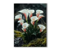 Pianta Dipingi con i Numeri Adulti Calla Lily Paint by Numbers, Colorare con i Numeri Adulti con Telaio, Kit di Pittura Acrilica Fai da Te per Principianti, Decora la Casa Regalo 60x90cm 0R-871