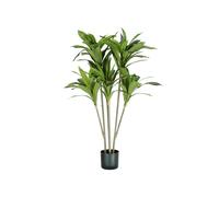 King Collection PIANTA DRACAENA H. 130 cm 88 FOGLIE