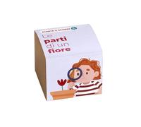 Pianta e Scopri | Le Parti di un Fiore | Kit Educativo STEM e Montessori | Impara Botanica Passo Dopo Passo | Esperimento con Piante per Bambini e Famiglie