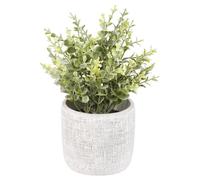 Pianta finta in vaso di cemento