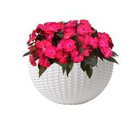 Pianta Fiore Vaso Da Appendere A Muro: Vasi Da Parete Per Piante Interne | Imitazione Imitazione Partiri Partiri Per Piante | Contenitore Per Piante D'appartamento Semicircolare Fôr Fence Gard