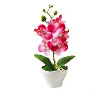Pianta floreale artificiale di orchidea Phalaenopsis in vaso, seta e foglia di plastica, adatta per abbellire spazi interni come uffici e bar (B)