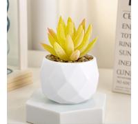Pianta grassa finta artificiale Piante grasse artificiali per scrivania Piante grasse finte realistiche in vasi di plastica Mini piante grasse colorate per decorare la camera da letto, il bagno, lo