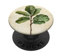 Pianta illustrazione scientifica vintage fico foglia violino PopSockets PopGrip Adesivo