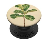 Pianta illustrazione scientifica vintage fico foglia violino PopSockets PopGrip Adesivo