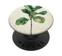 Pianta illustrazione scientifica vintage fico foglia violino PopSockets PopGrip Adesivo