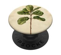 Pianta illustrazione scientifica vintage fico foglia violino PopSockets PopGrip Adesivo